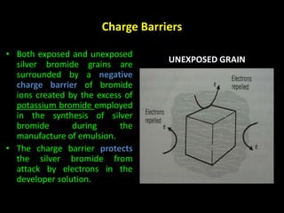 Charge Barriers 
• Both exposed and unexposed 
silver bromide grains are 
surrounded by a negative 
charge barrier of bromide 
ions created by the excess of 
potassium bromide employed 
in the synthesis of silver 
bromide during the 
manufacture of emulsion. 
• The charge barrier protects 
the silver bromide from 
attack by electrons in the 
developer solution. 
UNEXPOSED GRAIN 
 
