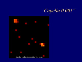 Capella 0.001” 
 