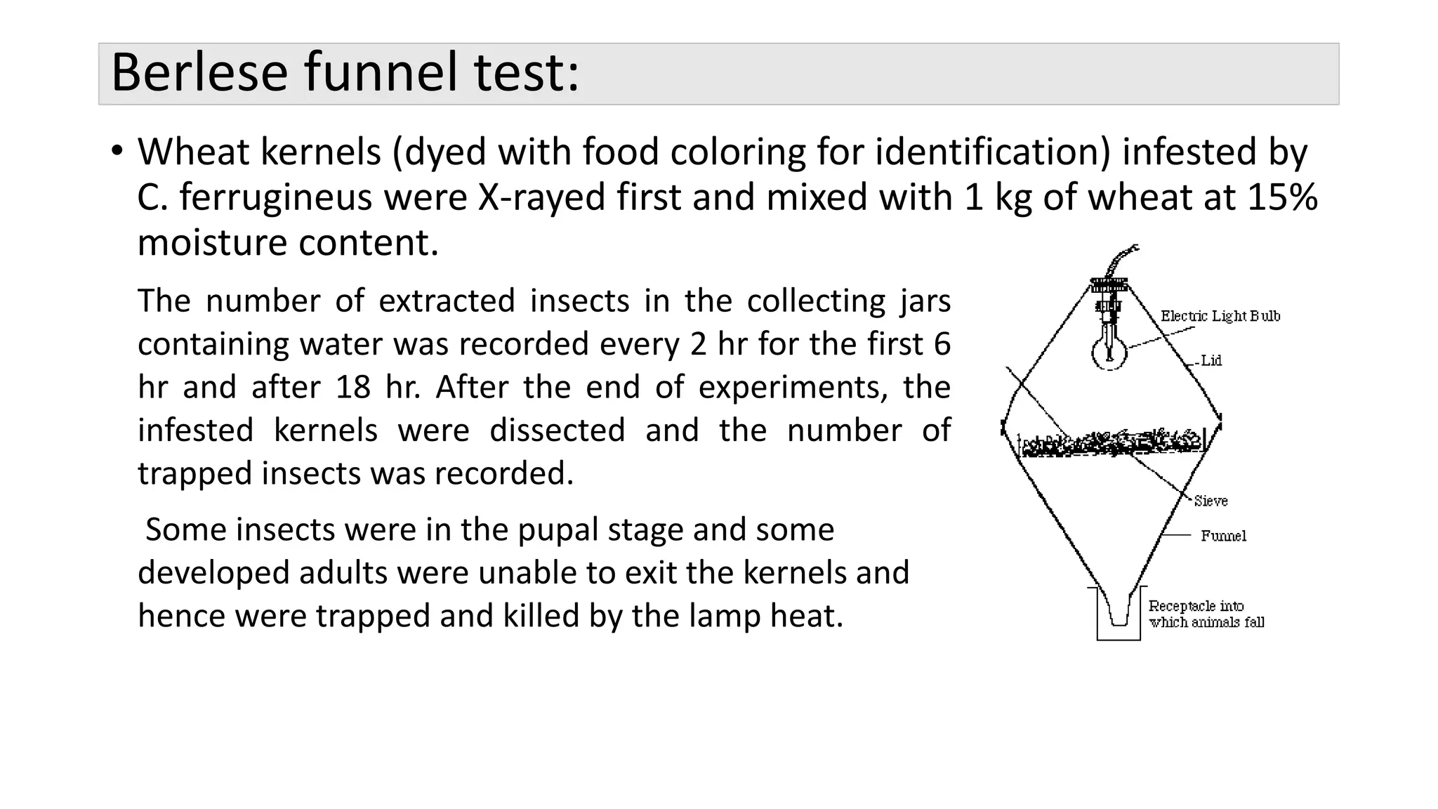 Berlese funnel test:
• Wheat kernels (dyed with food coloring for identification) infested by
C. ferrugineus were X-rayed first and mixed with 1 kg of wheat at 15%
moisture content.
The number of extracted insects in the collecting jars
containing water was recorded every 2 hr for the first 6
hr and after 18 hr. After the end of experiments, the
infested kernels were dissected and the number of
trapped insects was recorded.
Some insects were in the pupal stage and some
developed adults were unable to exit the kernels and
hence were trapped and killed by the lamp heat.
 