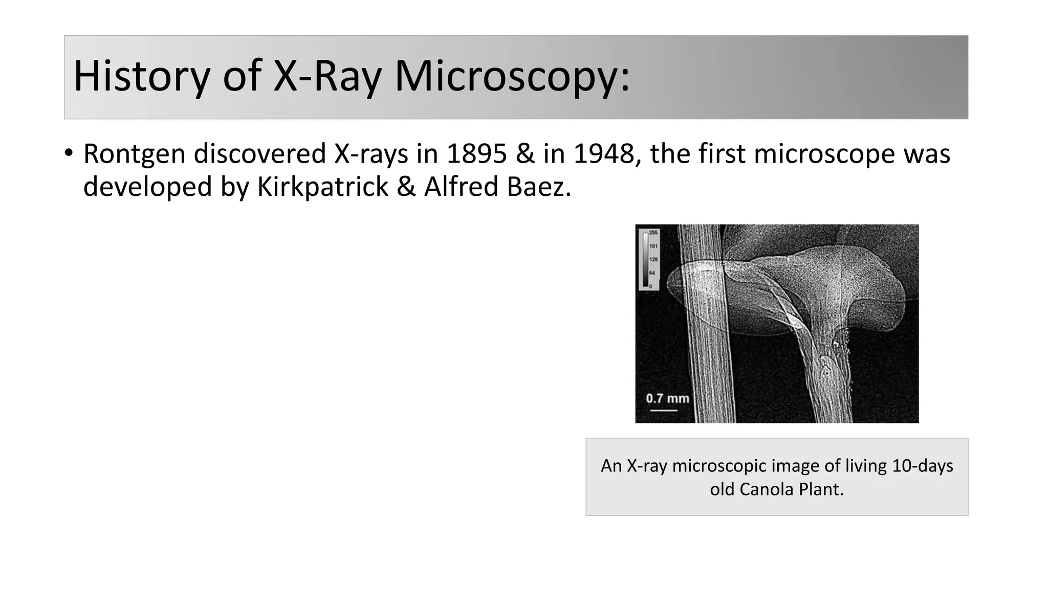 History of X-Ray Microscopy:
• Rontgen discovered X-rays in 1895 & in 1948, the first microscope was
developed by Kirkpatrick & Alfred Baez.
An X-ray microscopic image of living 10-days
old Canola Plant.
 