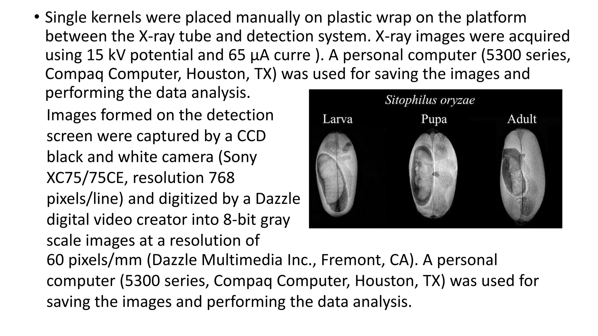 • Single kernels were placed manually on plastic wrap on the platform
between the X-ray tube and detection system. X-ray images were acquired
using 15 kV potential and 65 µA curre ). A personal computer (5300 series,
Compaq Computer, Houston, TX) was used for saving the images and
performing the data analysis.
Images formed on the detection
screen were captured by a CCD
black and white camera (Sony
XC75/75CE, resolution 768
pixels/line) and digitized by a Dazzle
digital video creator into 8-bit gray
scale images at a resolution of
60 pixels/mm (Dazzle Multimedia Inc., Fremont, CA). A personal
computer (5300 series, Compaq Computer, Houston, TX) was used for
saving the images and performing the data analysis.
 