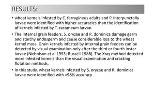 x ray microscopic image analysis to detect infestations caused by ...