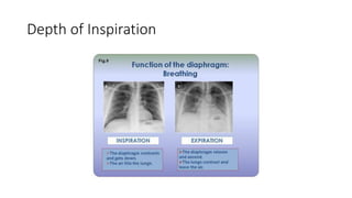 Depth of Inspiration
 