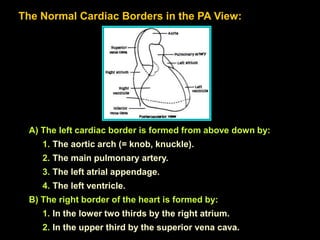 Medicine- Xrays | PPTX