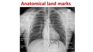 Anatomical land marks
 