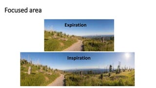 Focused area
Expiration
Inspiration
 