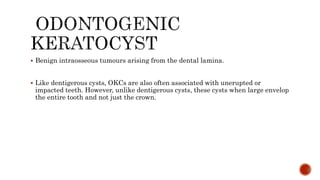 Benign intraosseous tumours arising from the dental lamina.
 Like dentigerous cysts, OKCs are also often associated with unerupted or
impacted teeth. However, unlike dentigerous cysts, these cysts when large envelop
the entire tooth and not just the crown.
 