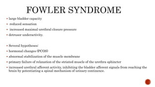  large bladder capacity
 reduced sensation
 increased maximal urethral closure pressure
 detrusor underactivity.
 Several hypotheses:
 hormonal changes (PCOS)
 abnormal stabilization of the muscle membrane
 primary failure of relaxation of the striated muscle of the urethra sphincter
 increased urethral afferent activity, inhibiting the bladder afferent signals from reaching the
brain by potentiating a spinal mechanism of urinary continence.
 