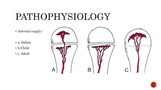  Arterial supply :
 a. Infant
 b.Child
 c. Adult
 