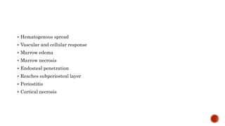  Hematogenous spread
 Vascular and cellular response
 Marrow edema
 Marrow necrosis
 Endosteal penetration
 Reaches subperiosteal layer
 Periostitis
 Cortical necrosis
 