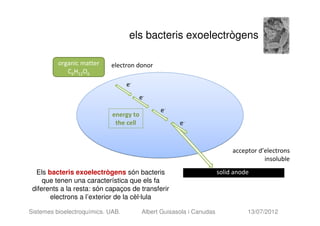 els bacteris exoelectrògens

          organic matter    electron donor
             C6H12O6
                                   e-
                                        e-
                                               e-
                             energy to
                              the cell                e-



                                                                           acceptor d’electrons
                                                                                      insoluble
  Els bacteris exoelectrògens són bacteris                            solid anode
     que tenen una característica que els fa
 diferents a la resta: són capaços de transferir
       electrons a l’exterior de la cèl·lula

Sistemes bioelectroquímics. UAB.         Albert Guisasola i Canudas             13/07/2012
 