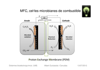 MFC, cel·les microbianes de combustible
                                   e-
                                          Ω
                Anode              EANODE < E CATHODE          Cathode

               CxHyOz                             H2O                   H2O



                 Microbial
                 oxidation                      Chemical           Microbial
                                                Reduction          reduction




                                                    O2
                                                                        O2
               CO2 +H+                                  H+



                        Proton Exchange Membrane (PEM)

Sistemes bioelectroquímics. UAB.           Albert Guisasola i Canudas          13/07/2012
 