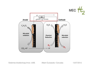 MEC
                                   e-
                                          Ω
                Anode              EANODE < E CATHODE          Cathode

               CxHyOz                             H2O                   H2O



                 Microbial
                 oxidation                      Chemical           Microbial
                                                Reduction          reduction




                                                    O2
                                                                        O2
               CO2 +H+                                  H+




Sistemes bioelectroquímics. UAB.           Albert Guisasola i Canudas           13/07/2012
 