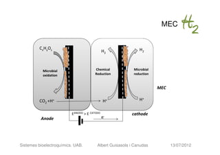 MEC


          CxHyOz                                              H2
                                              H2



           Microbial                    Chemical           Microbial
           oxidation                    Reduction          reduction


                                                                       MEC

          CO2 +H+                             H+              H+


                          EANODO > E CATODO               cathode
          Anode                               e-




Sistemes bioelectroquímics. UAB.         Albert Guisasola i Canudas          13/07/2012
 