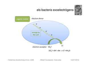 els bacteris exoelectrògens

          organic matter    electron donor

                                   e-
                                        e-
                                               e-
                             energy to
                              the cell                 e-




                                                      2-
                                                                      S2-
                             electron acceptor SO4
                                                    SO42-+ 8H+ +8e- -> S2-+4H2O



Sistemes bioelectroquímics. UAB.         Albert Guisasola i Canudas               13/07/2012
 