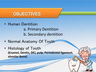 • Human Dentition
a. Primary Dentition
b. Secondary dentition
• Normal Anatomy Of Tooth
• Histology of Tooth
(Enamel, Dentin, DEJ, pulp, Periodontal ligament,
alveolar Bone)
 