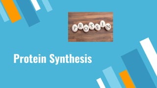 Protein Synthesis
 