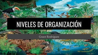 NIVELES DE ORGANIZACIÓN
Grace Rodríguez
 