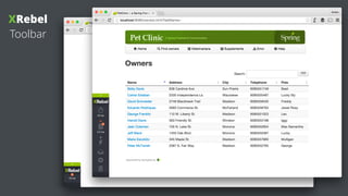 XRebel
Toolbar
XRebel toolbar is
an HTML widget
 