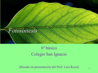 Fotosíntesis
6º básico
Colegio San Ignacio
(Basado en presentación del Prof. Luis Rossi) 1
 
