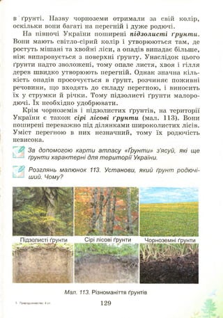 в ґрунті. Назву чорноземи отримали за свій колір,
оскільки вони багаті на перегній і дуже родючі.
На півночі України поширені підзолист і ґрунт и.
Вони мають світло-сірий колір і утворю ю ться там, де
ростуть мішані та хвойні ліси, а опадів випадає більше,
ніж випаровується з поверхні ґрунту. Унаслідок цього
ґрунти надто зволожені, тому опале листя, хвоя і гілля
дерев швидко утворю ю ть перегній. Однак значна кіль­
кість опадів просочується в ґрунт, розчиняє поживні
речовини, що входять до складу перегною, і виносить
їх у струмки й річки. Тому підзолисті ґрунти малоро­
дючі. їх необхідно удобрювати.
Крім чорноземів і підзолистих ґрунтів, на території
України є також сірі лісові ґрунт и (мал. 113). Вони
поширені переважно під ділянками ш ироколистих лісів.
Уміст перегною в них незначний, тому їх родючість
невисока.
За допомогою карти атласу «Ґрунти» з’ясуй, які ще
ш ж ф унти характерні для те р и то р ії України.
' М Розглянь малюнок 113. Установи, який ґрунт родючі-
Ь^ ііі ииий. Чому?
Мал. 113. Різноманіття ґрунтів
5 Природознавство, 4 кл. 129
 