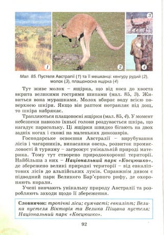Словничок: тропічні ліси; сумчаст і; евкаліпт; Вели­
ка пуст еля Вікторія та Велика П іщ ана пуст еля;
Національний парк «Косцю ш ко».
Мал. 85. Пустеля Австралії (7) та її мешканці: кенгуру рудий (2),
молох (3), плащоносна ящірка (4)
Тут живе молох - ящ ірка, щ о від носа до хвоста
вкрита великими гострими шипами (мал. 85, 3). Ж и ­
виться вона мураш ками. М олох вбирає воду всією по­
верхнею ш кіри. Я кщ о він раптом потрапляє під дощ,
то ш кіра набрякає.
Трапляються плащоносні ящірки (мал. 8 5 ,4). У момент
небезпеки навколо їхньої голови роздувається шкіра, що
нагадує парасольку. Ці ящірки швидко бігають на двох
задніх ногах і схож і на маленьких динозаврів.
Господарське освоєння А встралії - вирубування
лісів і чагарників, випасання овець, розвиток промис­
ловості й туризму - загрож ує унікальній природі мате­
рика. Тому тут створено природоохоронні території.
Найбільш а з них - Н аціональний парк «К осц ю ш к о»,
де збережено великі природні території - від евкаліп­
тових лісів до альпійських луків. Справжнім дивом є
підводний парк Великого Бар’ єрного рифу, де охоро­
няють корали.
Учені вивчають унікальну природу Австралії та роз­
робляють заходи щ одо її збереження.
 