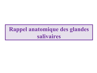 Rappel anatomique des glandes
salivaires

 