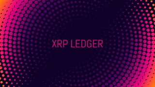 XRP LEDGER
 