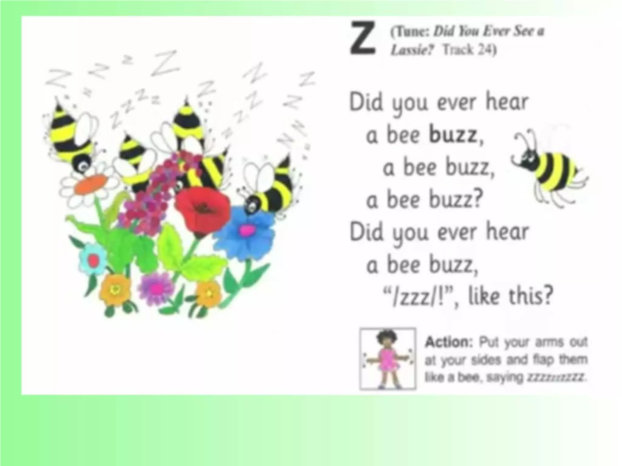 Flashcards and posters Z z