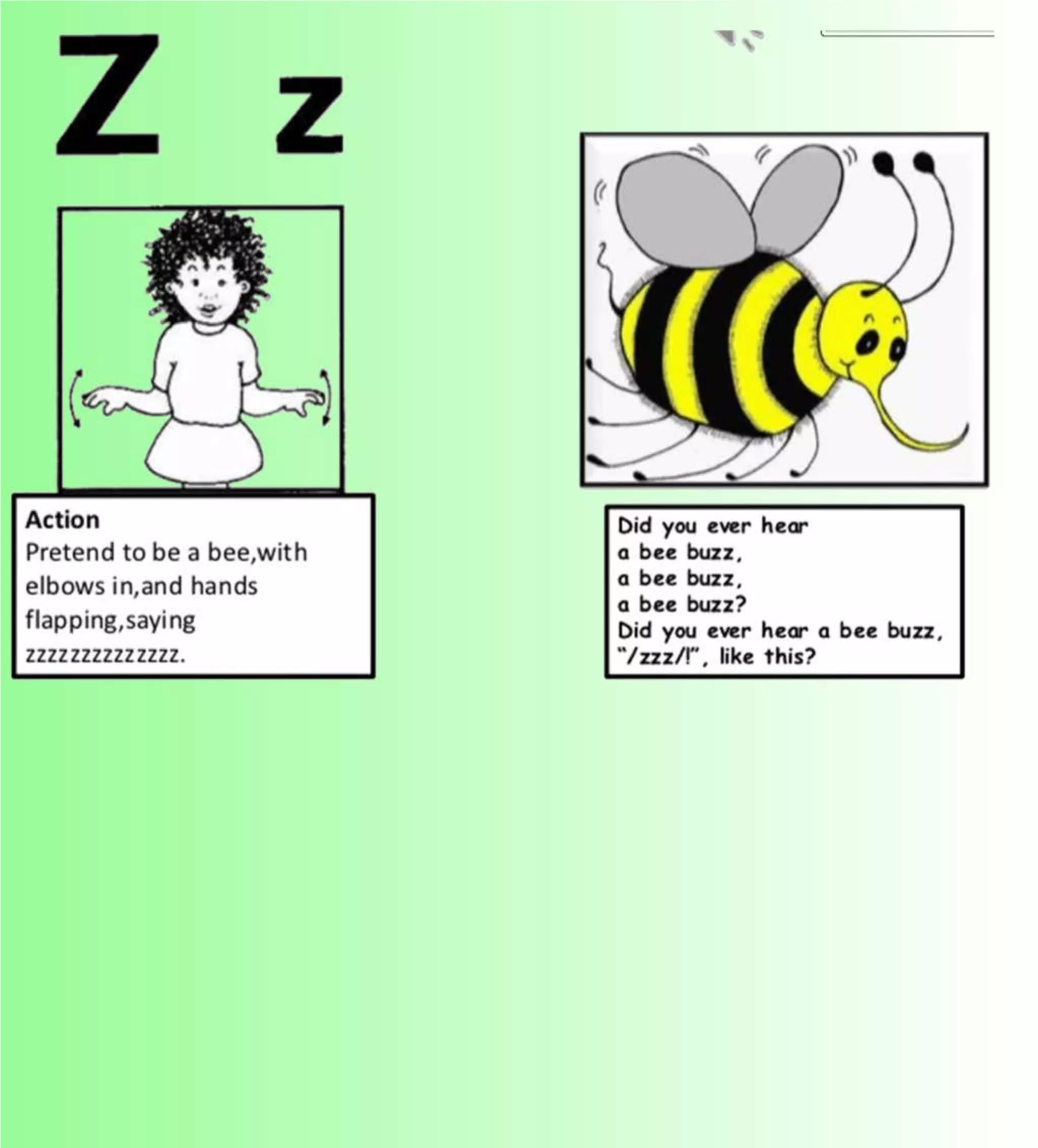 Flashcards and posters Z z