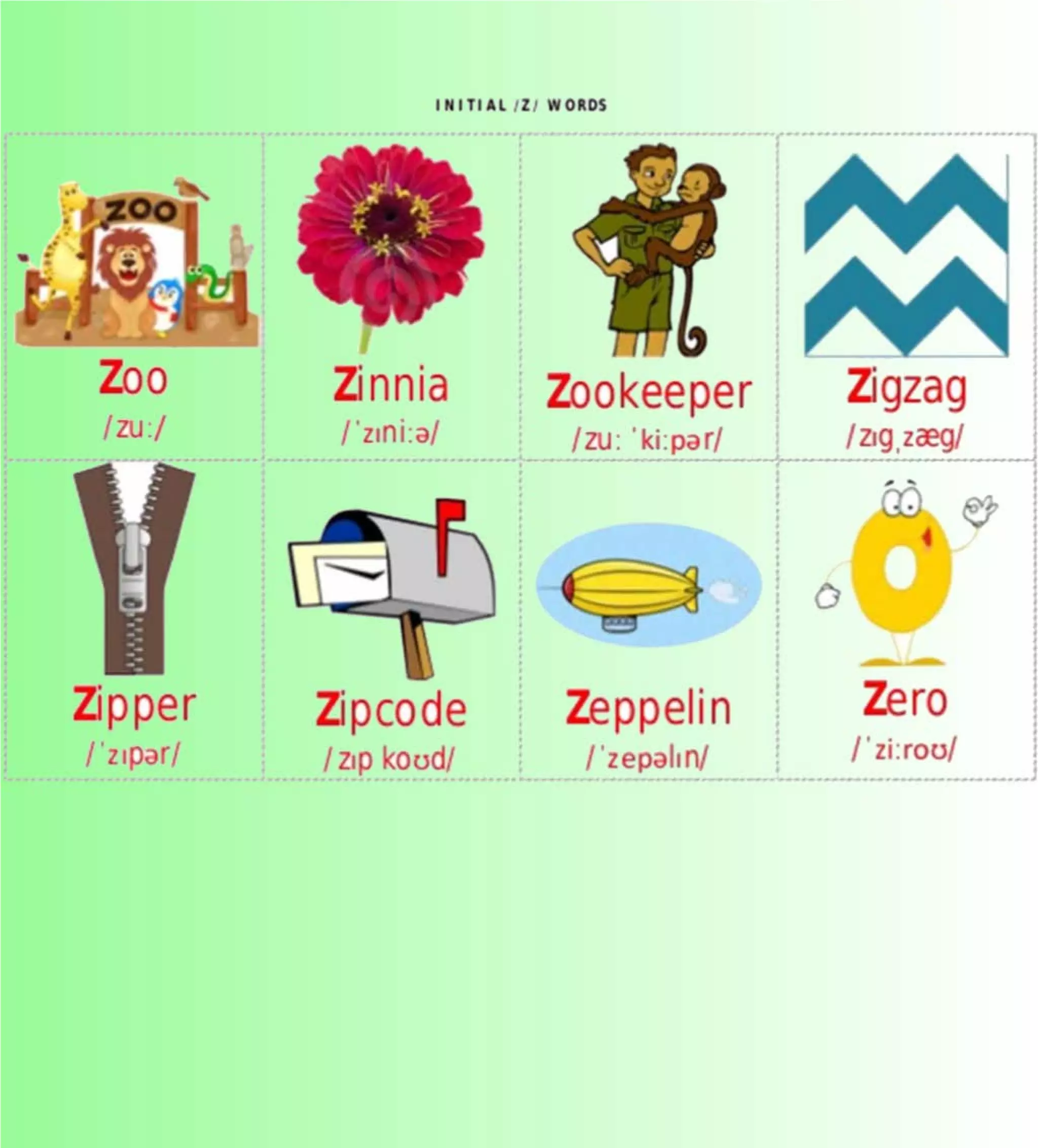 Flashcards and posters Z z