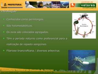 ccvvs@rio.rj.gov.br
Tel: (21) 2589-2338 consultecccvvs@rio.rj.gov.br
Consultoria Técnica do Controle de Vetores
IntroduçãoIntrodução
 Conhecidos como pernilongos.Conhecidos como pernilongos.
 São holometabólicos.São holometabólicos.
 Os ovos são colocados agregados.Os ovos são colocados agregados.
 Têm o período noturno como preferencial para aTêm o período noturno como preferencial para a
realização de repasto sangüíneo.realização de repasto sangüíneo.
 Filariose brancroftiana / diversos arbovírus.Filariose brancroftiana / diversos arbovírus.
 