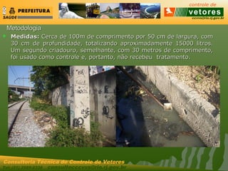 ccvvs@rio.rj.gov.br
Tel: (21) 2589-2338 consultecccvvs@rio.rj.gov.br
Consultoria Técnica do Controle de Vetores
MetodologiaMetodologia
 Medidas:Medidas: Cerca de 100m de comprimento por 50 cm de largura, comCerca de 100m de comprimento por 50 cm de largura, com
30 cm de profundidade, totalizando aproximadamente 15000 litros.30 cm de profundidade, totalizando aproximadamente 15000 litros.
Um segundo criadouro, semelhante, com 30 metros de comprimento,Um segundo criadouro, semelhante, com 30 metros de comprimento,
foi usado como controle e, portanto, não recebeu tratamento.foi usado como controle e, portanto, não recebeu tratamento.
 