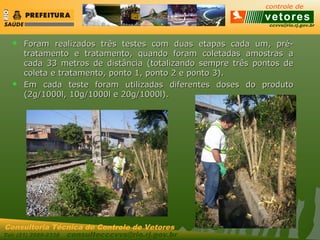 ccvvs@rio.rj.gov.br
Tel: (21) 2589-2338 consultecccvvs@rio.rj.gov.br
Consultoria Técnica do Controle de Vetores
 Foram realizados três testes com duas etapas cada um, pré-Foram realizados três testes com duas etapas cada um, pré-
tratamento e tratamento, quando foram coletadas amostras atratamento e tratamento, quando foram coletadas amostras a
cada 33 metros de distância (totalizando sempre três pontos decada 33 metros de distância (totalizando sempre três pontos de
coleta e tratamento, ponto 1, ponto 2 e ponto 3).coleta e tratamento, ponto 1, ponto 2 e ponto 3).
 Em cada teste foram utilizadas diferentes doses do produtoEm cada teste foram utilizadas diferentes doses do produto
(2g/1000l, 10g/1000l e 20g/1000l).(2g/1000l, 10g/1000l e 20g/1000l).
 