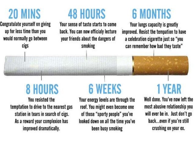 xsmoking app best quit smoking iphone app best quit smoking app