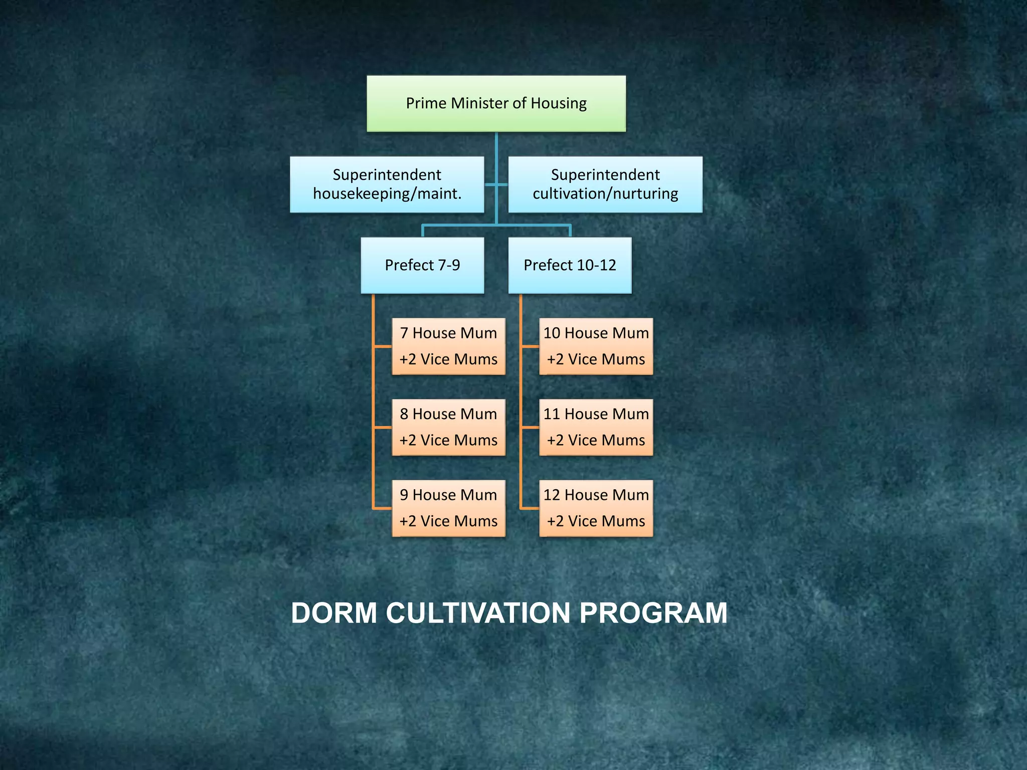 Prime Minister of Housing
Prefect 7-9
7 House Mum
+2 Vice Mums
8 House Mum
+2 Vice Mums
9 House Mum
+2 Vice Mums
Prefect 10-12
10 House Mum
+2 Vice Mums
11 House Mum
+2 Vice Mums
12 House Mum
+2 Vice Mums
Superintendent
housekeeping/maint.
Superintendent
cultivation/nurturing
DORM CULTIVATION PROGRAM
 