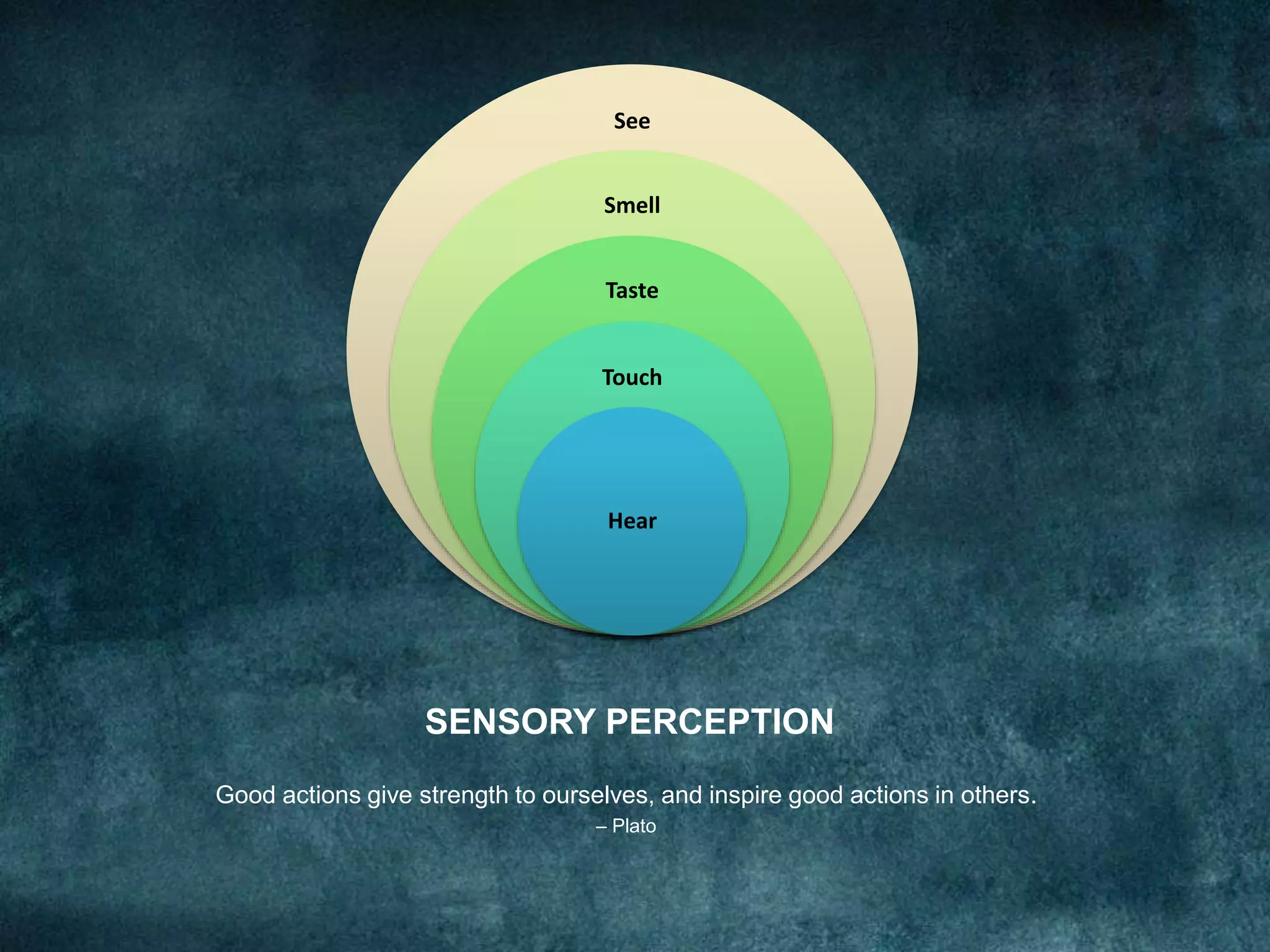 SENSORY PERCEPTION
Good actions give strength to ourselves, and inspire good actions in others.
– Plato
See
Smell
Taste
Touch
Hear
 
