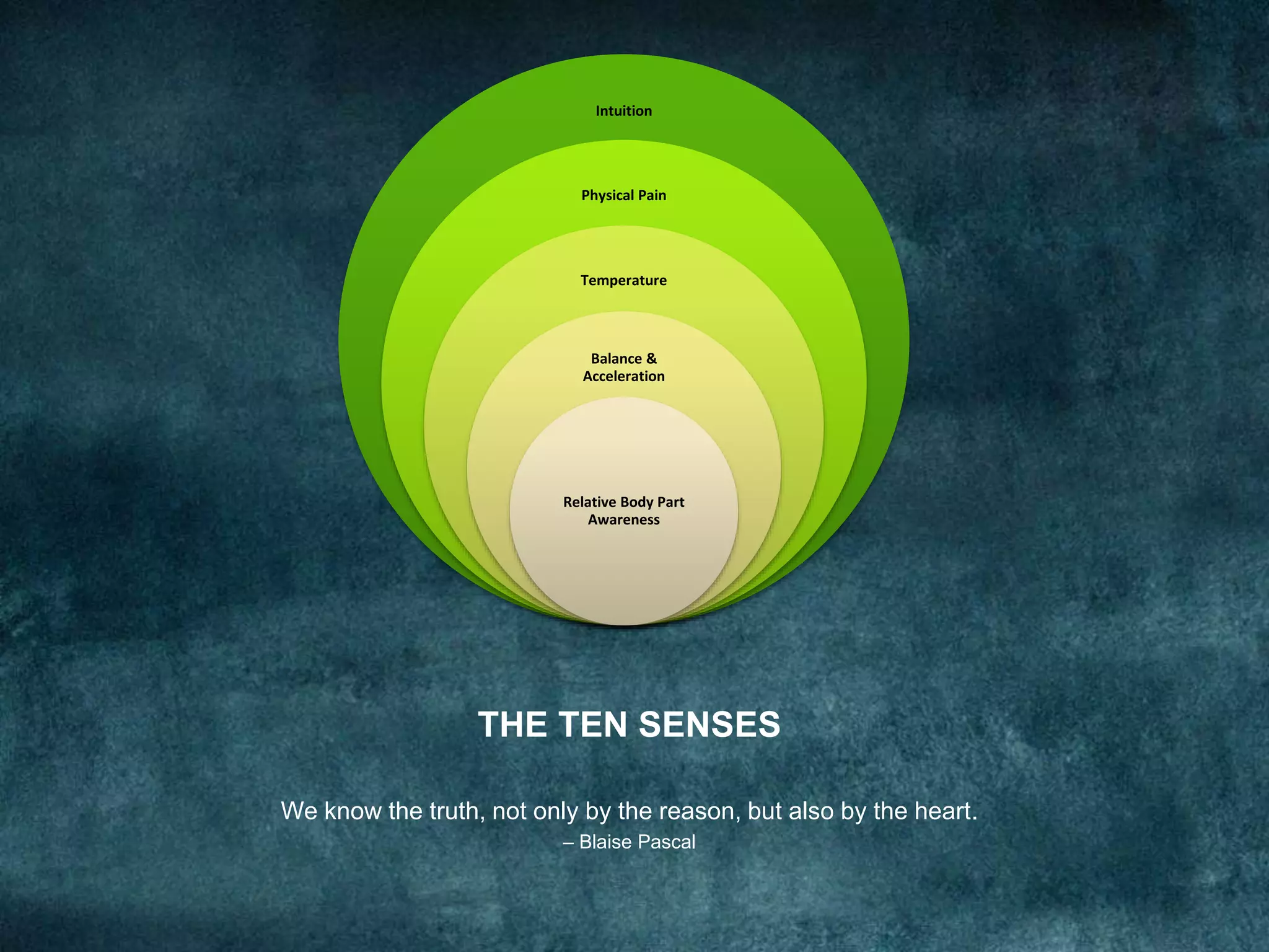 THE TEN SENSES
We know the truth, not only by the reason, but also by the heart.
– Blaise Pascal
Intuition
Physical Pain
Temperature
Balance &
Acceleration
Relative Body Part
Awareness
 