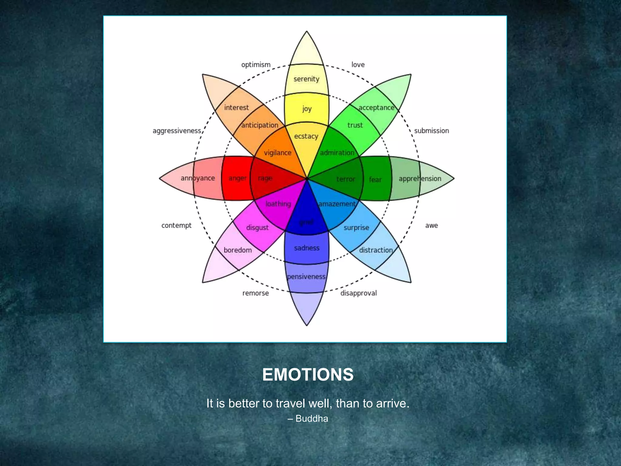 EMOTIONS
It is better to travel well, than to arrive.
– Buddha
 