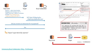 Xss and sql injection | PDF