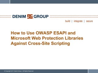 How to Use OWASP ESAPI and  Microsoft Web Protection Libraries Against Cross-Site Scripting 