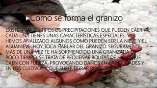 EXISTEN VARIOS TIPOS DE PRECIPITACIONES QUE PUEDEN CAER Y
CADA UNA TIENES UNAS CARACTERÍSTICAS ESPECIALES. YA
HEMOS ANALIZADO ALGUNOS COMO PUEDEN SER LA NIEVE Y EL
AGUANIEVE. HOY TOCA HABLAR DEL GRANIZO. SEGURAMENTE,
MÁS DE UNA VEZ TE HA SORPRENDIDO UNA GRANIZADA EN
POCO TIEMPO. SE TRATA DE PEQUEÑAS BOLITAS DE HIELO QUE
CAEN CON FUERZA, PROVOCANDO DAÑOS EN LAS CIUDADES Y
EN LOS CULTIVOS Y QUE SUELE DURAR POCO TIEMPO.
Como se forma el granizo
 