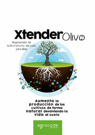 Re
La Micr
generador de
-obiota del suelo
para olivo
' v
Aumenta la
producción de los
cultivos de forma
natural devolviendo la
vida al suelo
agrocodeWE DO BIO!
 