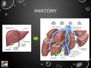 HPB CLINIC
ANATOMY
 