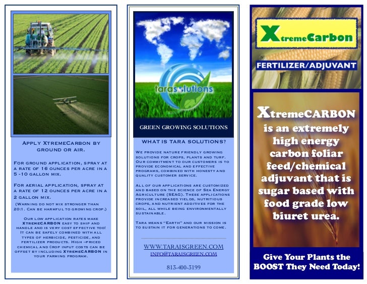 three panel brochure