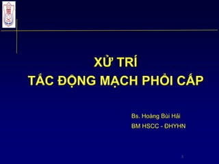 1
XỬ TRÍ
TẮC ĐỘNG MẠCH PHỔI CẤP
Bs. Hoàng Bùi Hải
BM HSCC - ĐHYHN
 