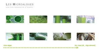 XTU architects - Anouk Legendre et Nicolas Desmazières 5
 