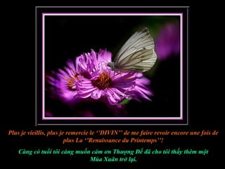 Plus je vieillis, plus je remercie le ‘’DIVIN’’ de me faire revoir encore une fois de
                         plus La ‘’Renaissance du Printemps’’!
    Càng có tuổi tôi càng muốn cám ơn Thượng Đế đã cho tôi thấy thêm một
                              Mùa Xuân trở lại.
 