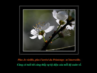 Plus Je vieillis, plus l’arrivé du Printemps m’émerveille.
Càng có tuổi tôi càng thấy sự kỳ diệu của mỗi độ xuân về.
 