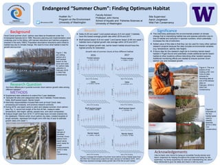 Endangered “Summer Chum”: Finding Optimum Habitat
@hualianxu1995
y = 0.7227x + 37.982
25
30
35
40
45
50
55
60
65
70
75
ForkLength
dates of the sampling
Barrier beach
y = 0.2x + 41.118
25
30
35
40
45
50
55
60
65
ForkLength
dates of the sampling
Pocket estuary
y = 0.8864x + 35.864
25
30
35
40
45
50
55
60
65
ForkLength
dates of the sampling
Pocket estuary
y = 0.1955x + 38.464
25
30
35
40
45
50
55
60
ForkLength
dates of the sampling
Delta
y = 0.3773x + 37.1
25
30
35
40
45
50
55
60
ForkLength
dates of the sampling
Delta
y = 0.7045x + 36.909
25
30
35
40
45
50
55
60
65
ForkLength
dates of the sampling
Bluff backed beach
y = 0.9318x + 35
25
30
35
40
45
50
55
60
65
ForkLength
dates of the sampling
Bluff backed beach
y = 1.0045x + 38.109
25
30
35
40
45
50
55
60
65
70
75
ForkLength
dates of the sampling
Barrier beach
Hualian Xu *
Program on the Environment
University of Washington
Faculty Advisor:
Professor John Horne
School of Aquatic and Fisheries Sciences at
University of Washington
Site Supervisor:
Aaron Jorgenson
Wild Fish Conservancy
Background
Hood Canal summer chum salmon was listed as threatened under the
Endangered Species Act in 1999. Recovery planning and implementation were
underway prior to the listing, with harvest reductions and hatchery programs
enacted in the early 1990’s. Population abundance reductions were linked to
habitat loss due to climate change. We need to know what habitat is best for
growth and survival.
Research Question
Figure 1. We
are netting
salmon at a
bluff backed
beach (in the
snow and cold)
for salmon data
collection in
February 2018
Ⓒ Wild Fish
Conservancy
METHODS
 Supplement data collections to extend the 2 year database.
 Sampled 56 sites and categorized sites into 4 habitats: Pocket estuary,
Delta, Bluff backed beach, Barrier beach.
 Internship responsibilities included field work at Hood Canal, data
processing and analysis, and produce research products.
 During 2018, use beach seine to catch and release summer chum salmon
(see Fig. 1), record fork length of the first 40 fish, measure water
temperature, tide height, salinity, sample time, and catch composition.
 Analyze length data from 2016-17 (2018 data have not been entered into
the database). Filtered winter chum salmon (by date), created boxplots of
length samples, regressed fork length (mm) with day of year to estimate
growth rates (mm week-1)
Figure 2.
Sample of
identified
Summer Chum
salmon from
beach seine
catch ready for
length
measurements.
2018 Ⓒ Wild
Fish
Conservancy
Results
 Delta (0.25 mm week-1) and pocket estuary (0.5 mm week-1) habitats
have the lowest average growth rate within 2016 and 2017.
Growth rate of summer chums at four different habitat
2016 2017
Figure 3. Average fork lengths of summer chum salmon at four habitat types from
the Wild Fish Conservancy project from early January to mid-March 2016 - 2017.
Red lines represent average weekly growth rate of the fish at each habitat.
Significance
 This internship addresses the environmental problem of climate
change that is intensifying habitat loss and species extinction due to
loss of habitat and reduction in species numbers, which potentially
increases the risk of extinction.
 Added value of this data is that they can be used for many other salmon
research projects because the data includes environmental variables
(e.g. temperature, salinity, tide height).
Figure 4. This is a
picture of me
holding a 60+ mm
Coho to take
pictures for
recording data at
one of the estuary
sites on
February 2018 Ⓒ
Wild Fish
Conservancy
Acknowledgements
I like to thank John Horne for being an incredible Faculty Advisor and
Aaron Jorgenson for helping throughout the project and being my site
supervisor, my family supporting my work and understanding me, and P.
Sean McDonald to give me ideas and check in with my work.
Figure 5.
Examples of
the four
habitat types
used to
classify
beaches.
2018 Ⓒ Wild
Fish
Conservancy
Are there differences in juvenile summer chum salmon growth rates among
different habitats?
 Based on highest growth rate, barrier beach habitat should have the
highest priority for restoration
 Bluff backed beach (0.8 mm week-1) and barrier beach (0.85 mm week-1)
habitats have a highest growth rate average within 2016 and 2017.
 A future step for this research might be to inventory barrier beach
habitat in Puget Sound and potentially create additional barrier beach
habitat at other locations without disturbing other resident species.
Additional monitoring efforts are needed to ensure summer chum
salmon use and increased growth.
Pocket Estuary
Barrier Beach
Delta
Bluff Backed Beach
 